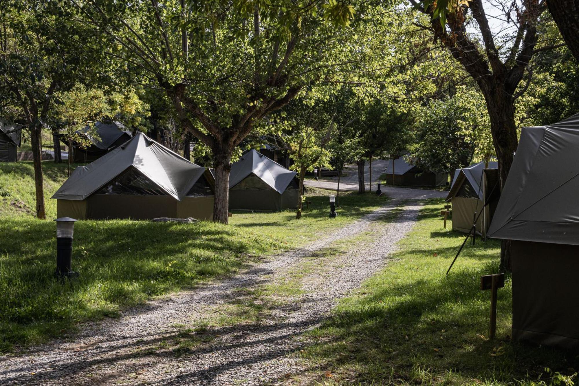 Hotel Basecamps Cerdanya Caixans Pokoj fotografie